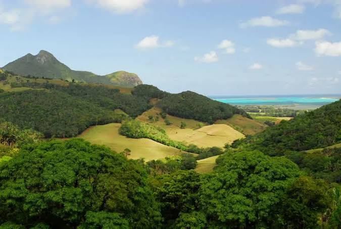 Endemic Mauritius Nature Tour