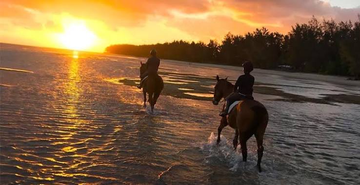Horse Riding in Mauritius