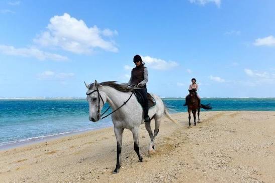 Horse Riding in Mauritius