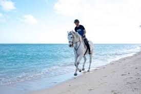 Horse Riding in Mauritius
