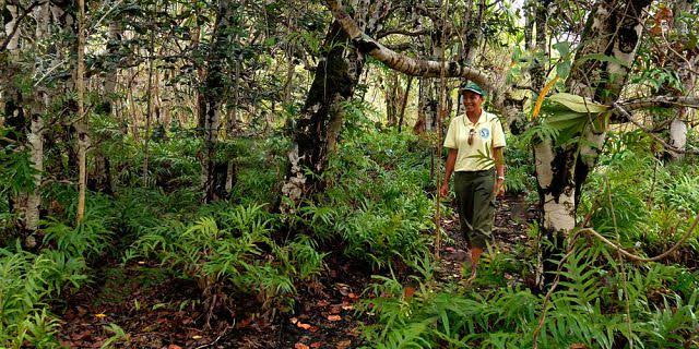Birdwatching and Hiking at Ebony Forest