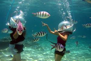 Underwater Sea Walk Mauritius: A Magical Journey on the Ocean Floor